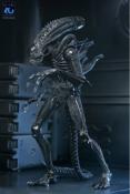 Aliens Figurine Ultimate Alien Warrior Black 40th Anniversary 23 cm | NECA