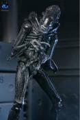 Aliens Figurine Ultimate Alien Warrior Black 40th Anniversary 23 cm | NECA