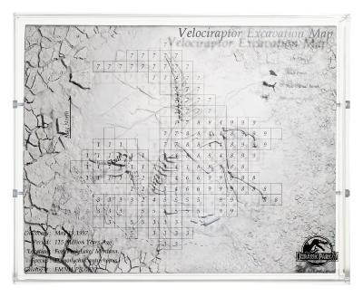 Jurassic Park 3 Carte des Fouilles Vélociraptor Toynami ECC