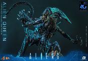 Hot Toys Alien Queen 1/6 53cm