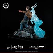 Harry Potter 1/6 Harry Potter Ikigai | Tsume Art 