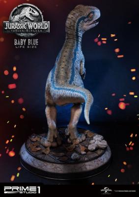 Jurassic World: Fallen Kingdom statuette 1/1 Baby Blue 69 cm