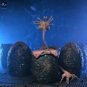 Aliens Set d'accessoires Alien Eggs 40th Anniversary | NECA