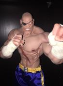 Sagat Exclusif Street Fighter | Pop Culture Shock