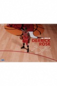 NBA Collection figurine Real Masterpiece 1/6 Derrick Rose Limited Retro Edition 30 cm Enterbay