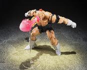Dragon Ball Z S.H.Figuarts Recoome 20cm Bandai Tamashii Nations