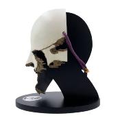 Mourir peut attendre rÃ©plique 1/1 du masque de Safin Limited Edition Fragmented Version 18 cm | FACTORY Entertainment