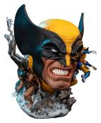 Marvel buste Fine Art Wolverine 48 cm | PCS