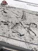Jurassic Park 3 Carte des Fouilles Vélociraptor Toynami ECC
