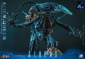 Hot Toys Alien Queen 1/6 53cm