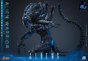 Aliens Alien Warrior V2 Deluxe Version MMS899 Figurine 1/6 39cm Hot Toys Movie Masterpiece Accessoires Bonus