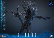 Aliens Alien Warrior V2 Deluxe Version MMS899 Figurine 1/6 39cm Hot Toys Movie Masterpiece Accessoires Bonus