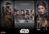Star Wars Episode VI figurine Movie Masterpiece 1/6 Leia Organa (Boushh Disguise) 27 cm | HOT TOYS