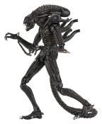 Aliens Figurine Ultimate Alien Warrior Brown 1986 23 cm | NECA