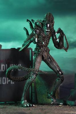 Aliens Figurine Ultimate Alien Warrior Brown 1986 23 cm | NECA