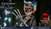 Batman Ninja My Favourite Movie figurine 1/6 Ninja Catwoman Normal Ver. 30 cm | STAR ACE