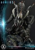  Aliens Tusked Bonus Ver Statue | Prime 1