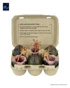 Aliens Set d'accessoires Alien Eggs 40th Anniversary | NECA