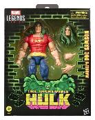 Hasbro Marvel Legends The Incredible Hulk Doc Samson 15 cm