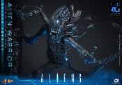 Aliens Alien Warrior V2 Deluxe Version MMS899 Figurine 1/6 39cm Hot Toys Movie Masterpiece Accessoires Bonus