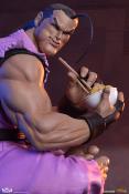Street Fighter statuettes PVC 1/10 Ryu & Dan 18 cm | PCS