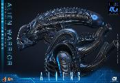 Aliens Alien Warrior V2 Deluxe Version MMS899 Figurine 1/6 39cm Hot Toys Movie Masterpiece Accessoires Bonus