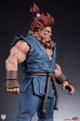 Street Fighter statuettes PVC 1/10 Akuma & Dhalsim 21 cm | PCS 