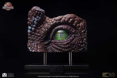 Jurassic Park 3 Replique Spinosaurus Eye Prop Reproduction 39 cm | ELITE CREATURE COLLECTIBLES
