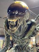 Alien | XM Studios