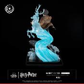 Harry Potter 1/6 Harry Potter Ikigai | Tsume Art 
