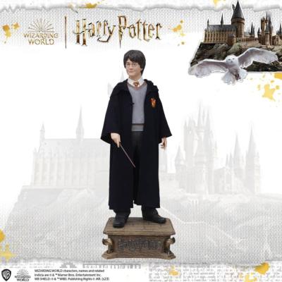 Harry Potter Life-Size statue 1/1 Harry Potter 174 cm | MUCKLE MANNEQUINS