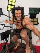 Wolverine Weapon X Project | XM Studio