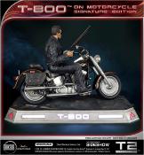 Terminator 2 : Le Jugement dernier statuette 1/4 T-800 on Motorcycle Signature Edition Sideshow Exclusive 50 cm | DARKSIDE COLLECTIBLE STUDIO