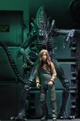 Aliens Figurine Ultimate Alien Warrior Blue 1986 23 cm | NECA