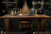 Harry Potter My Favourite Movie figurine 1/6 Minerva McGonagall Deluxe Ver. 29 cm | STAR ACE