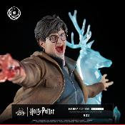 Harry Potter 1/6 Harry Potter Ikigai | Tsume Art 