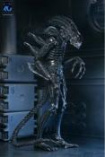 Aliens Figurine Ultimate Alien Warrior Black 40th Anniversary 23 cm | NECA