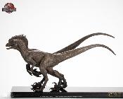 Elite Creature Collectibles Jurassic Park III Pair of Velociraptors Statuette 1/8 30 cm
