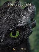 Dragons How to Train Your Dragon Toothless Krokmou Life Size Buste 66cm Furie Nocturne Elite Creature Collectibles Ed Limitée 200ex