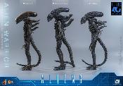 Aliens Alien Warrior V2 MMS898 Figurine 1/6 39cm Hot Toys Movie Masterpiece