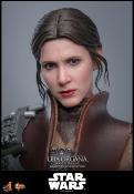 Star Wars Episode VI figurine Movie Masterpiece 1/6 Leia Organa (Boushh Disguise) 27 cm | HOT TOYS