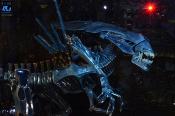 Aliens Figurine Alien Queen Deluxe 40th Anniversary | NECA