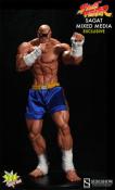 Sagat Exclusif Street Fighter | Pop Culture Shock