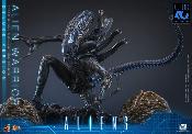 Aliens Alien Warrior V2 Deluxe Version MMS899 Figurine 1/6 39cm Hot Toys Movie Masterpiece Accessoires Bonus