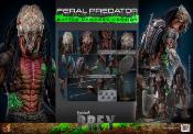 Prey figurine 1/6 Feral Predator (Battle Damaged Version) 37 cm | HOT TOYS