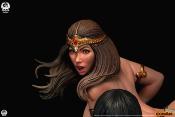 Conan le Barbare statuette 1/4 Conan Deluxe Edition 63 cm | PCS