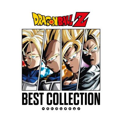 Disque vinyle Dragon Ball Z (Best collection - DBZ Limited Edition) | MICROIDS RECORD