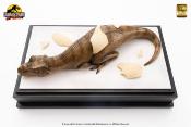 Jurassic Park statuettes Hatching T-Rex | ELITE CREATURE COLLECTIBLES