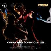 Cobra with Dominique 1/6 – Statue Résine Ikigai | Tsume Art (Précommande)