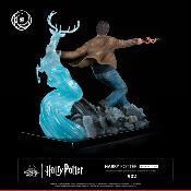 Harry Potter 1/6 Harry Potter Ikigai | Tsume Art 